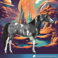 Horse Color:Gray Black Ice Sabino Tobiano 