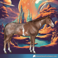 Horse Color:Chestnut Ice Sabino 