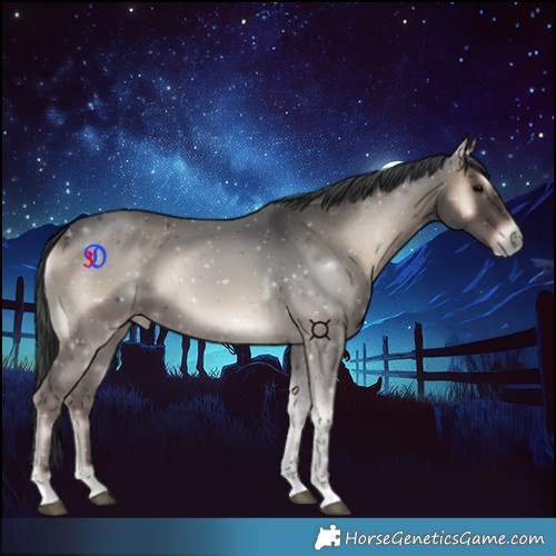 Horse Color:Blue Onyx Tobiano 