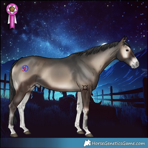 Horse Color:Blue Onyx 