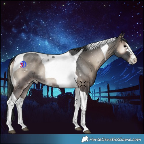 Horse Color:Blue Onyx Tobiano 