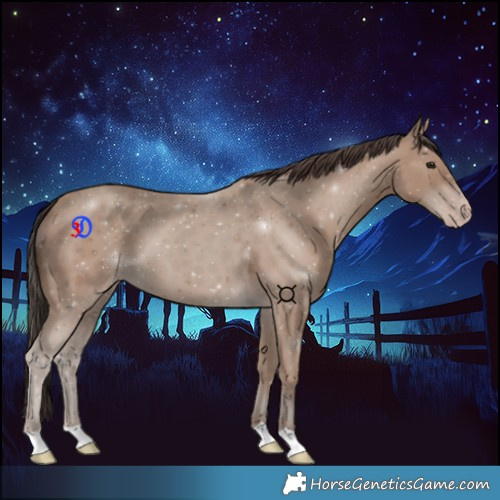 Horse Color:Classic Champagne 