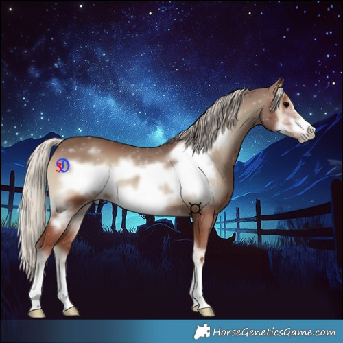 Horse Color:Silver Blue Onyx Frame 