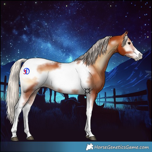 Horse Color:Silver Bay Onyx Tobiano Frame 