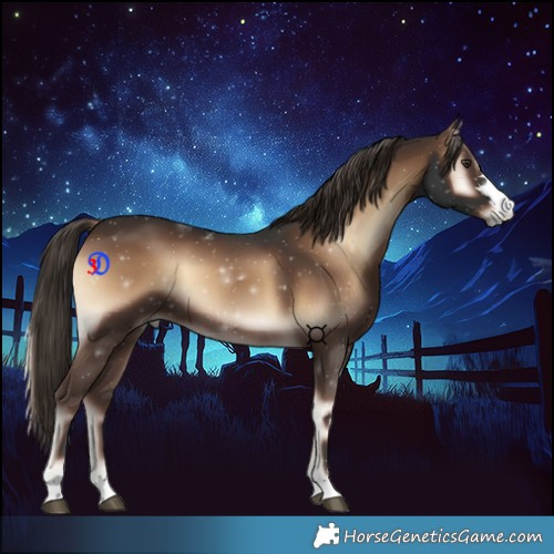Horse Color:Liver Red Onyx 