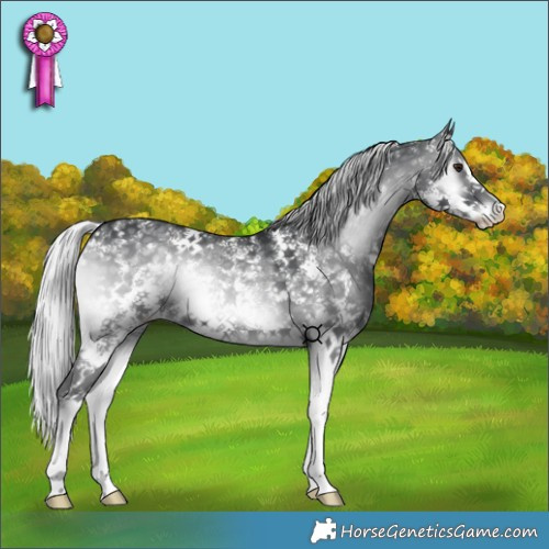 Horse Color:Silver Blue Onyx Chinchilla Sabino 