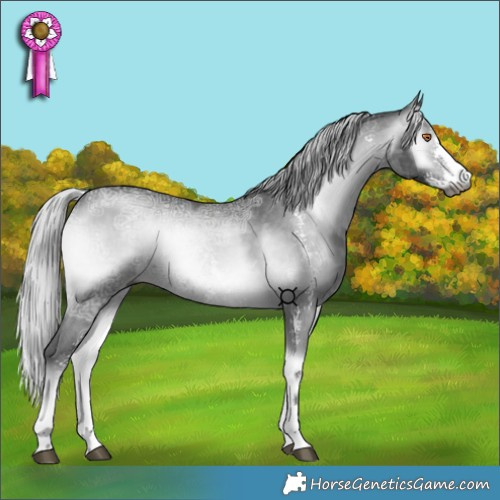 Horse Color:Gray Silver Blue Onyx Chinchilla Ice Sabino 