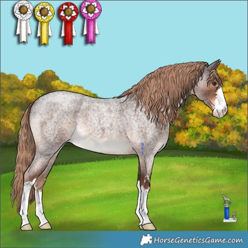 Horse Color:Liver Red Roan 
