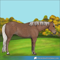 Horse Color:Silver Black