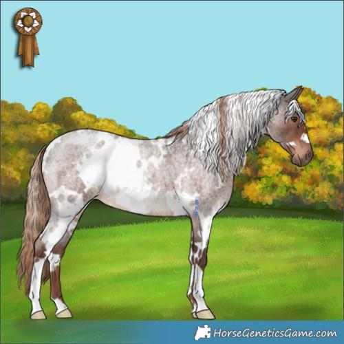 Horse Color:White Spotted Liver Red Roan 