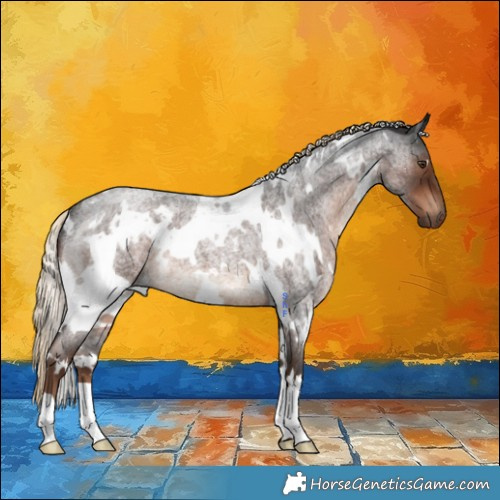 Horse Color:White Spotted Liver Red Roan 