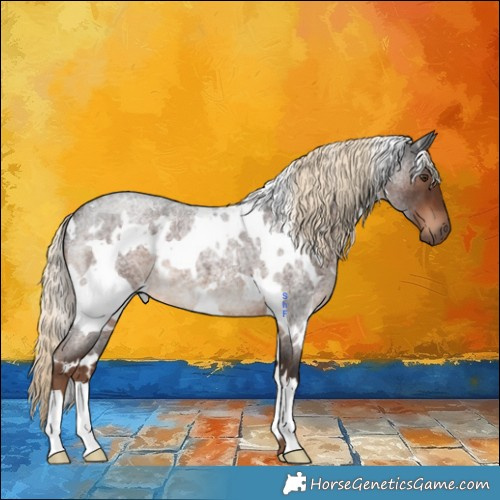 Horse Color:White Spotted Liver Red Roan 