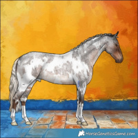 Horse Color:White Spotted Liver Red Roan 