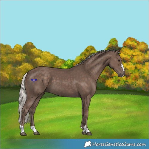 Horse Color:Silver Black 
