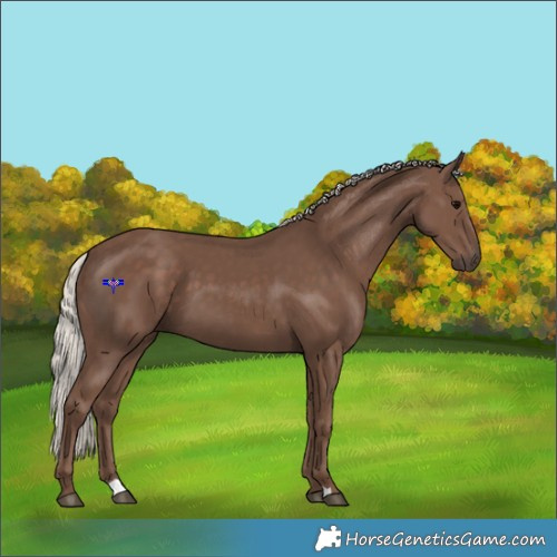 Horse Color:Silver Black 