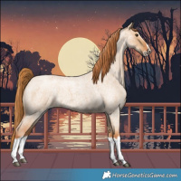 Horse Color:Red Dun Roan Splash Frame Rabicano 