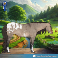 Horse Color:Brown Dun Sabino Blanket Rabicano Brindle 