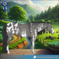 Horse Color:Grullo Sabino Blanket Brindle 