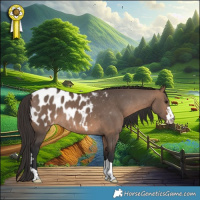 Horse Color:Brown Dun Blanket Rabicano 