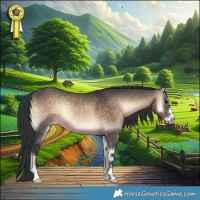 Horse Color:Brown Onyx Rabicano 