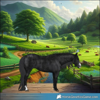 Horse Color:Black Ice Sabino 
