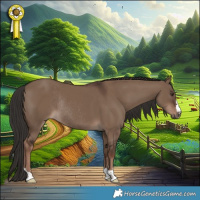 Horse Color:Liver Red Dun Rabicano 