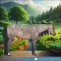Horse Color:White Spotted Brown Ice Dun 