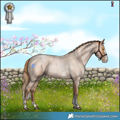 Horse Color:Bay Roan Pearl Sabino 