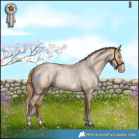 Horse Color:Bay Roan Pearl Sabino 