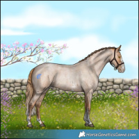 Horse Color:Bay Roan Pearl Sabino 