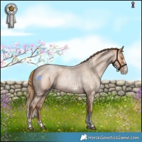 Horse Color:Bay Roan Pearl Sabino 