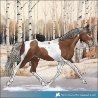 Horse Color:Gray Silver Black Pearl Tobiano