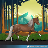 Horse Color:Gray Silver Black Pearl Tobiano 