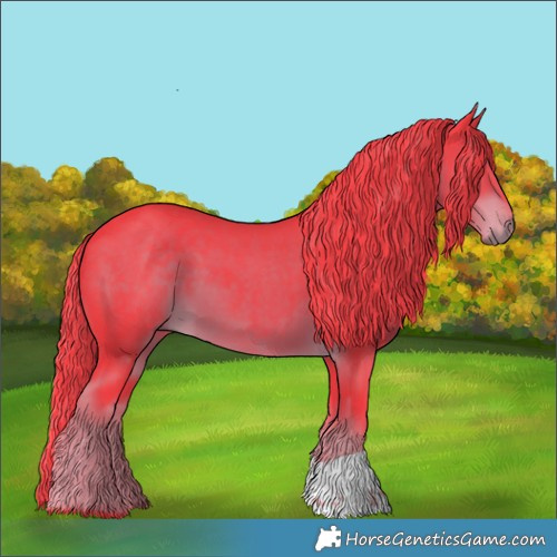 Horse Color:Watercolor Liver Chestnut 