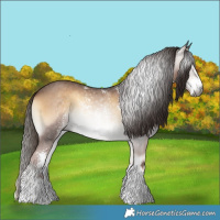 Horse Color:Gray Liver Red Onyx Sabino Rabicano 