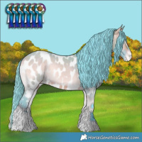 Horse Color:Watercolor Brown Onyx Near Leopard
