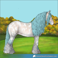 Horse Color:Watercolor Brown Onyx Appaloosa 
