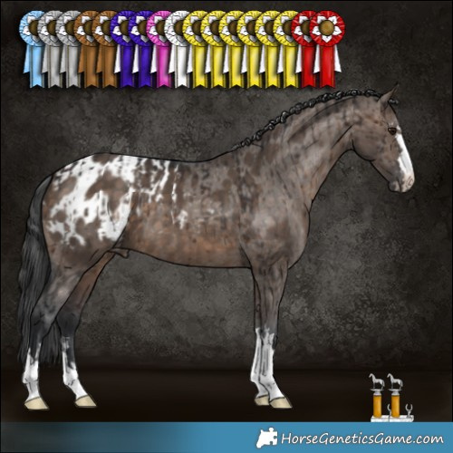 Horse Color:Brown Dun Brindle  and Brown Dun Appaloosa 