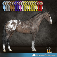 Horse Color:Brown Dun Brindle and Brown Dun Appaloosa