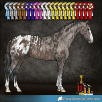 Horse Color:Brown Dun Brindle and Brown Dun Appaloosa