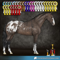 Horse Color:Brown Dun Brindle  and Brown Dun Blanket 