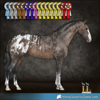 Horse Color:Brown Dun Brindle and Brown Dun Appaloosa