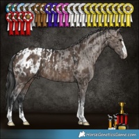 Horse Color:Brown Dun Brindle  and Brown Dun Appaloosa 