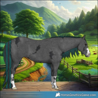 Horse Color:Painted Black Ice 