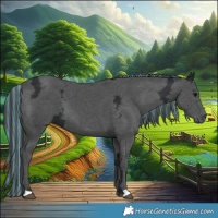 Horse Color:Painted Black Ice 