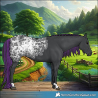 Horse Color:Painted Black Ice 