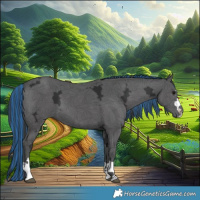 Horse Color:Painted Black Ice 