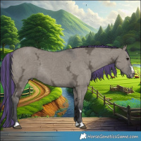 Horse Color:Painted Grullo Ice Rabicano 