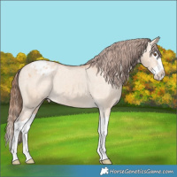 Horse Color:Bay Dun Splash Varnish