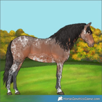 Horse Color:Brown Ice 